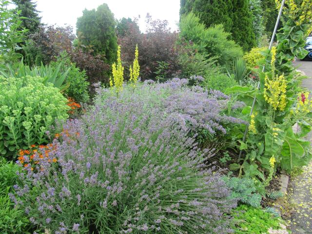 Herbert und Rosa Wirth aus Maulbronn.