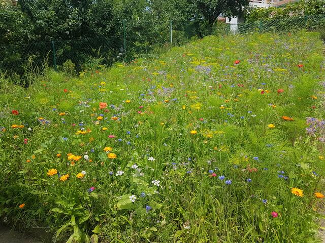 Christa Ament aus Bretten-Bauerbach.