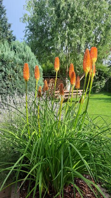 Dusan Stojic aus Bretten.