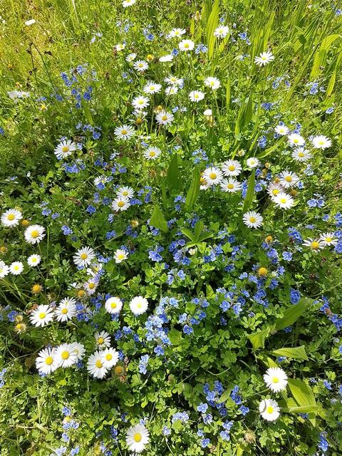 Edith Dziadek aus Maulbronn.