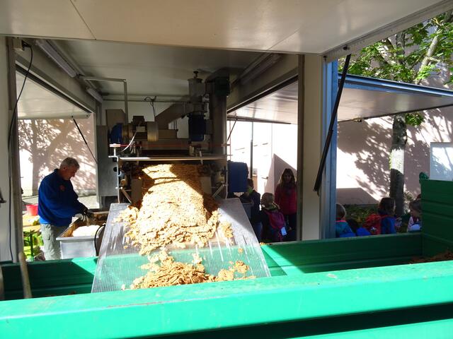 Der Trester wird gesammelt und kann von der Bevölkerung zum Kompost beigemischt werden oder als Viehfutter zum Einsatz kommen