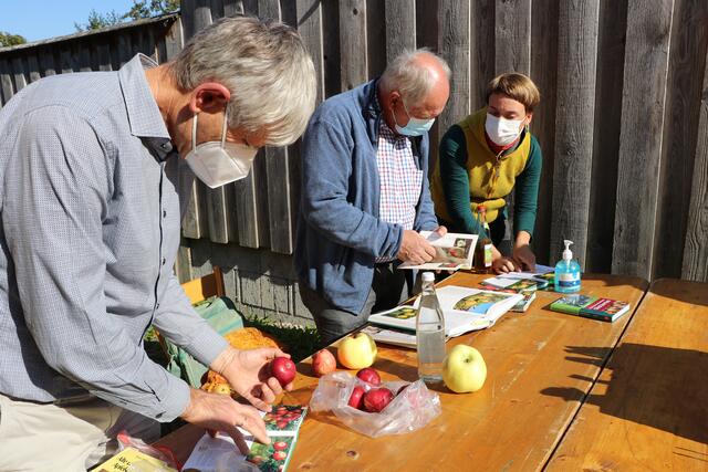 Bei der Bestimmung der Äpfel werden viele Fachbücher zu Rate gezogen.  | Foto: OGV Neibsheim