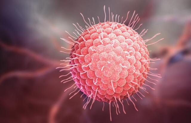 Gürtelrose. Quelle: Tatiana Shepeleva - Varizella Virus 3D - shutterstock