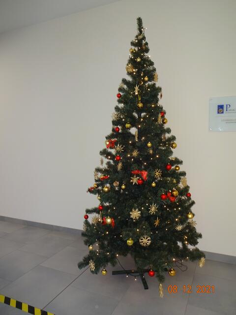 Weihnachtsbaum im Eingangsbereich. | Foto: Josef Freitag