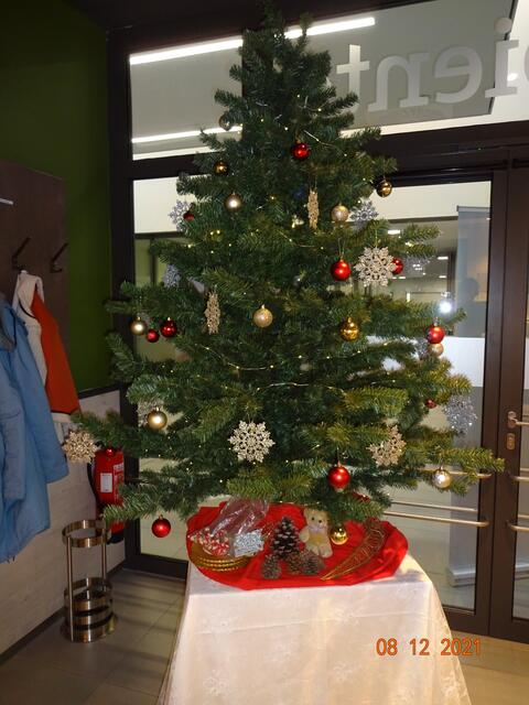 Weihnachtsbaum auf der Intensivstation.  | Foto: Josef Freitag