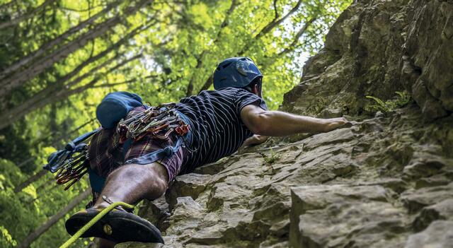 Foto: pixabay.com/akz-o | Foto: pixabay.com/akz-o