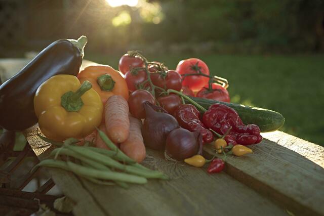 Gesundes aus eigener Ernte: Bio-Gemüse. Foto: Sperli/akz-o | Foto: Sperli/akz-o