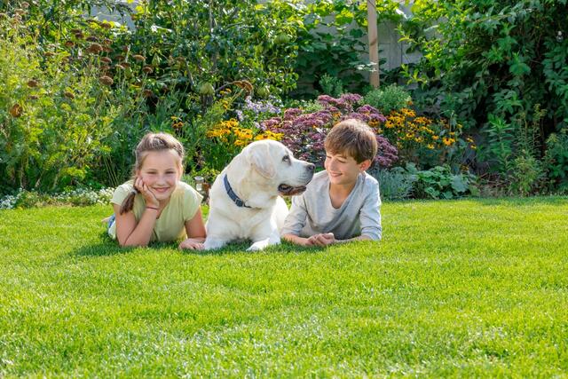 Junge, Mädchen Hund auf Rasen. Quelle: Neudorff | Foto: Neudorff