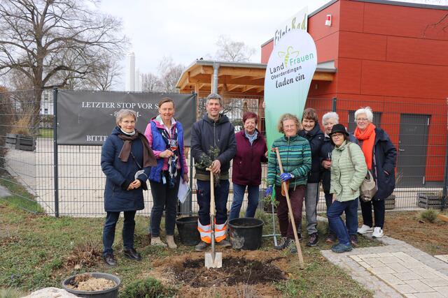 Die Landfrauen Oberderdingen treffen sich zum Austausch, zu Veranstaltungen und Vorträgen oder Aktionen, wie dem Schmücken des Osterbrunnens am Lindenplatz. | Foto: Barbara Lohner