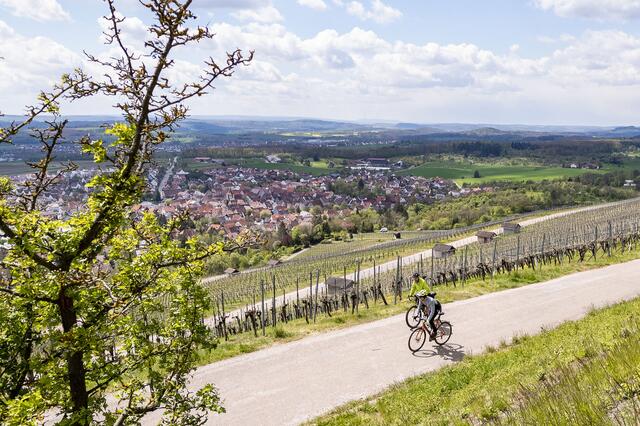 Im Kraichgau-Stromberg gibt es ideale Hügelhopping-Routen für Gravelbiker mit Wein, Aussicht und neuen Eindrücken. Foto: djd/Kraichgau Stromberg Tourismus/Martin Donat | Foto: djd/Kraichgau Stromberg Tourismus/Martin Donat