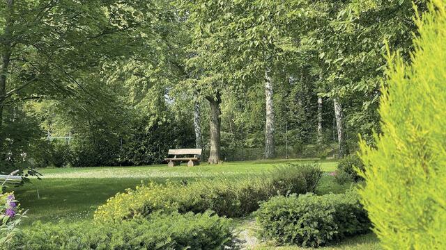 Rasenfriedhof. Foto: Deutsche Friedhofsgesellschaft/akz-o | Foto: Deutsche Friedhofsgesellschaft/akz-o