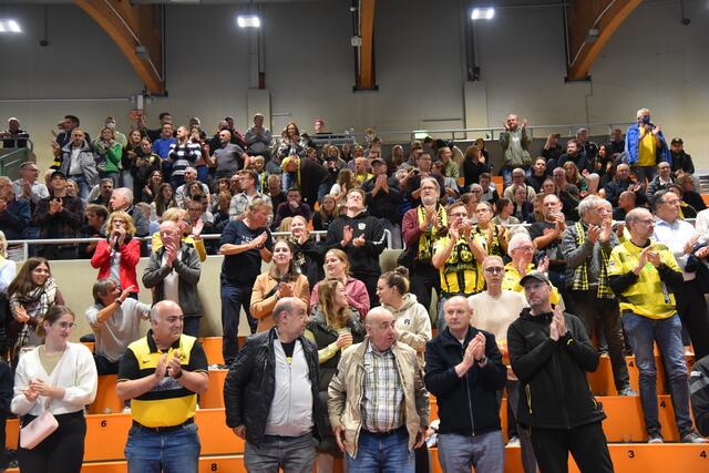 Beim BVB wird zwischen Fußballspiel und Handballspiel nicht unterschieden...Die Stimmung ist dieselbe...schwarzgelb eben...Ruhrpott pur...
FotoArchiv Merkel+Merkel
