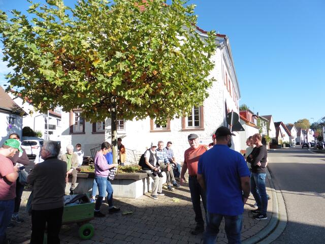 Vor dem Löwen | Foto: wb