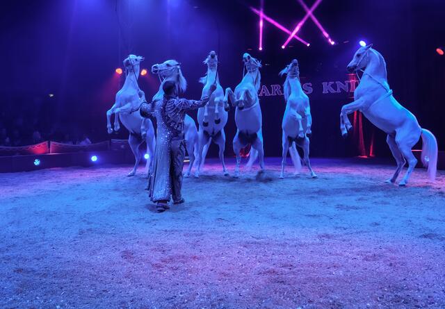 Marek Jama | Foto: LARS-JOSEF KLEMMER