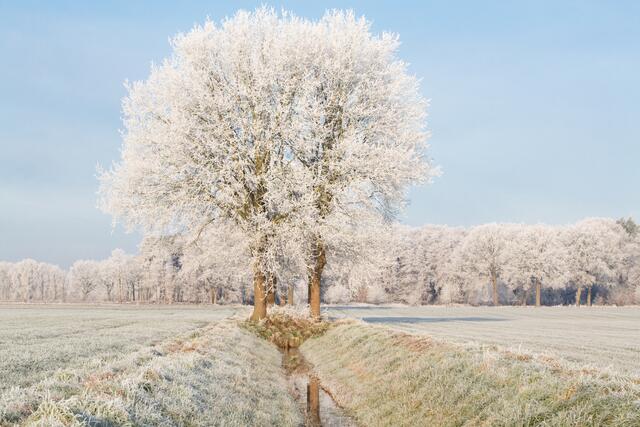 Foto: © Printemps - stock.adobe.com