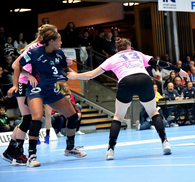 Sharon Noitmeer im Mittelpunkt des Geschehens...In Zwickau kein Faktor...
FotoArchiv Merkel