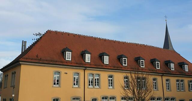 Alte Schule Jöhlingen - alle Tauben sind schon da von Renate Müller