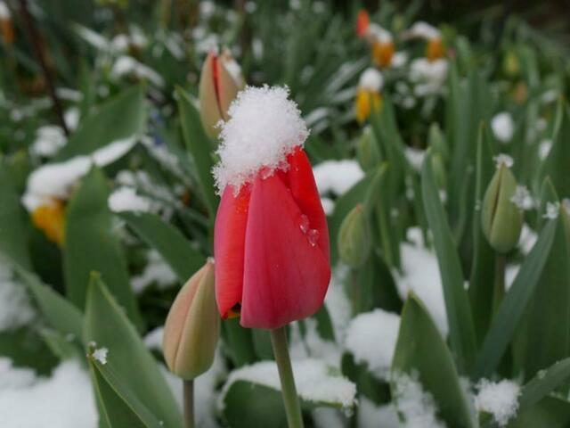 Schnee am 2. April 22 von Roland Albert