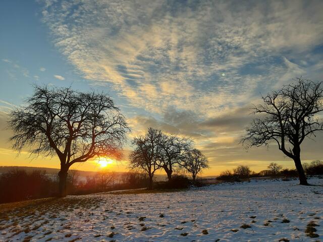 Wintersonne auf dem Lugenberg von Monika Freitag