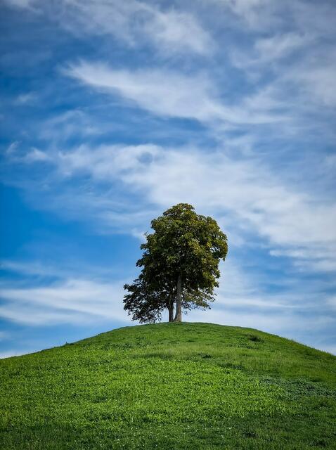  beautiful view von Martin Schupfner