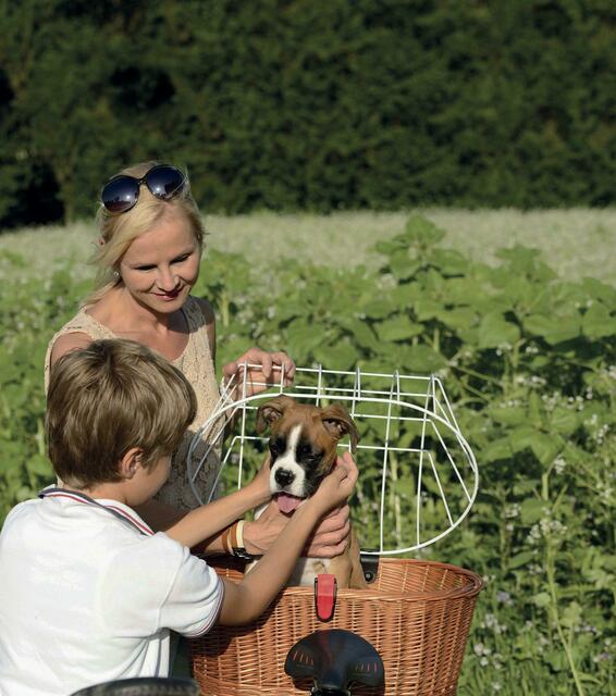 Sicherer Transport auch für den vierbeinigen Freund. | Foto: Rixen &amp; Kaul/akz-o