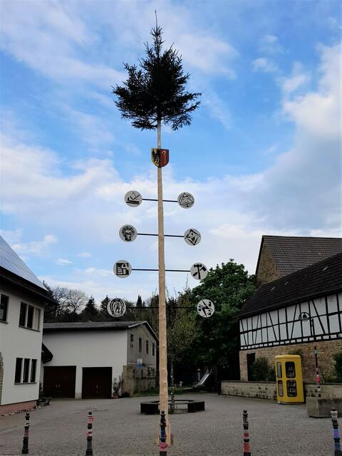 Der Maibaum 2023 mit Bauerbacher Wappen und Zunftzeichen der Handwerker grüßt vom Dorfplatz