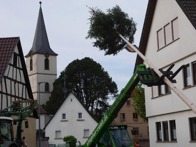 2013 Alles wie gehabt .....  | Foto: -roal-