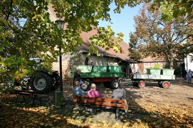 Weinlese  | Foto: Gemeinde Oberderdingen