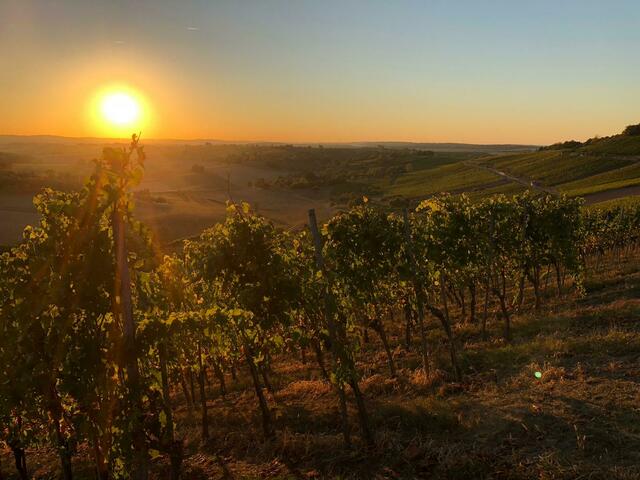 Sonnenuntergang, vom Derdinger Horn aus gesehen | Foto: Gemeinde Oberderdingen