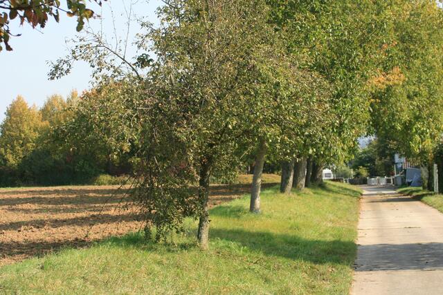 Beim Wasserreservoir