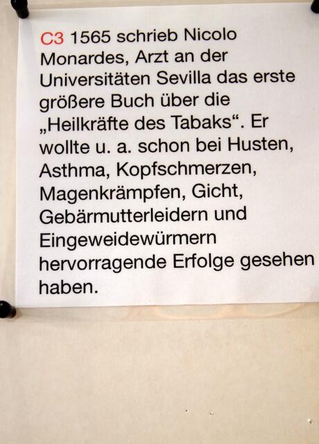 Heilpflanze Tabak | Foto: Helmut Lang