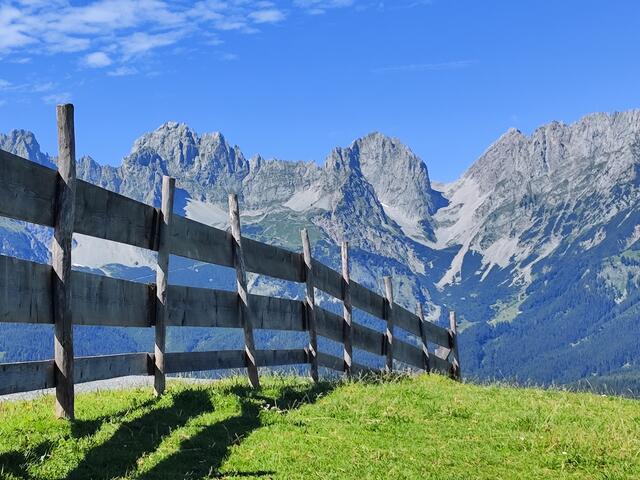 Eingereicht von Marina Dujmic. | Foto: Marina Dujmic