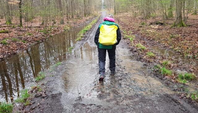 Eingereicht von Claudia Frick: "Dieses Bild entstand auf dem Weg von Frankfurt nach Sternenfels, dem Main-Stromberg-Weg. 7 Tage und rund 217 Kilometer." | Foto: Claudia Frick