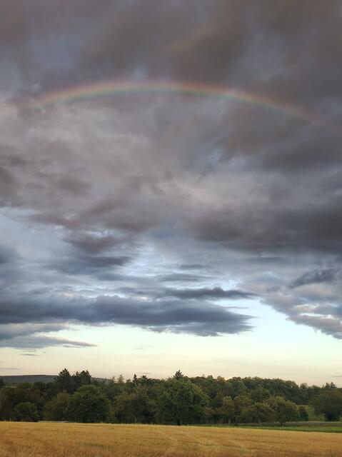 Eingereicht von Simone Niedermaier: "Dieser Schnappschuss ist in Bretten auf dem Hohberg entstanden."