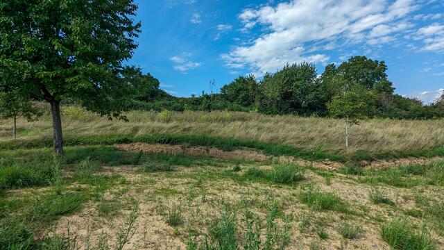 Starkregenschutz im Wohngebiet "Steiner Pfad"