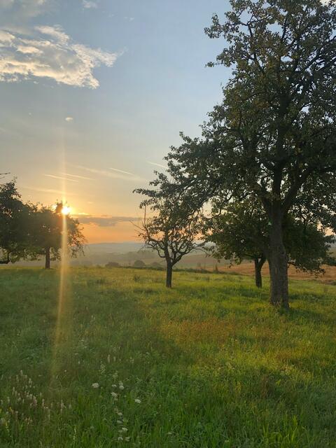 Eingereicht von Annette Zengerle: "Ein Foto vom Frühsport-Lauf. Blick Richtung Oberderdingen, Nähe Grillhütte Wolfsgrubenhohl aufgenommen." | Foto: Annette Zengerle