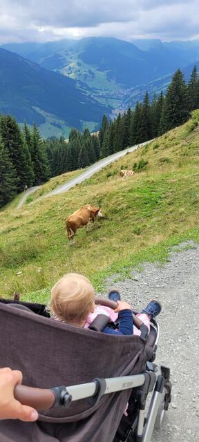 Eingereicht von Lena Jäckel: "Saalbach-Hinterglemm" | Foto: Lena Jäckel