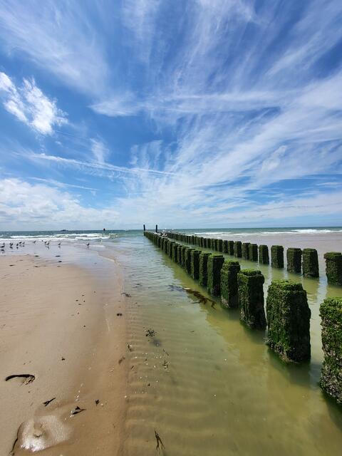 Eingereicht von Christian Ollig: "Zoutelande, Region Zeeland, Niederlande." | Foto: Christian Ollig