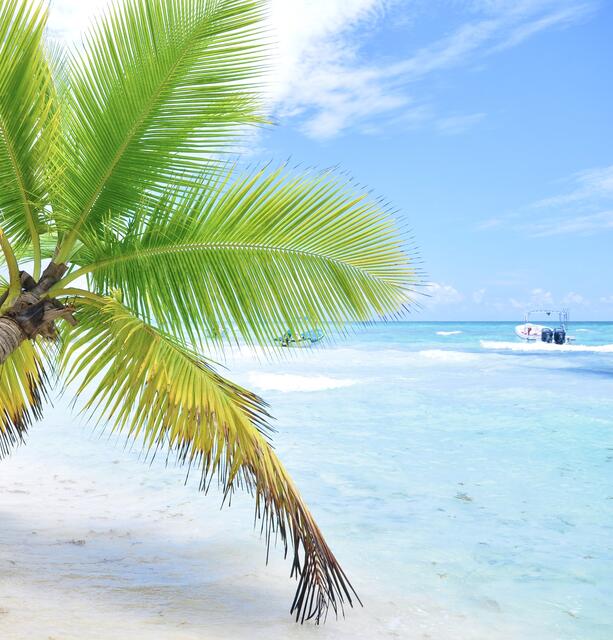 Eingereicht von Familie Wilhelm: "Unser Foto entstand auf einem Ausflug der Insel Saona in der Dominikanischen Republik. Wir haben keinen Filter darüber, die Farben sind genauso wie zu sehen, einfach fantastisch!" | Foto: Familie Wilhelm