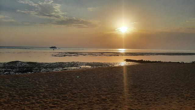 Eingereicht von Mareike Hunzinger: "Wunderschöne Grüße aus dem heißen Ägypten." | Foto: Mareike Hunzinger