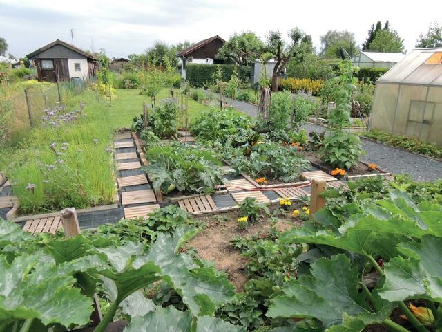 Bei starken Pflanzen haben Schädlinge und Krankheiten keine Chance. Glücklicherweise funktioniert das auch ganz ohne Chemie, nur mit der Kraft der Natur.  | Foto: Schacht/akz-o