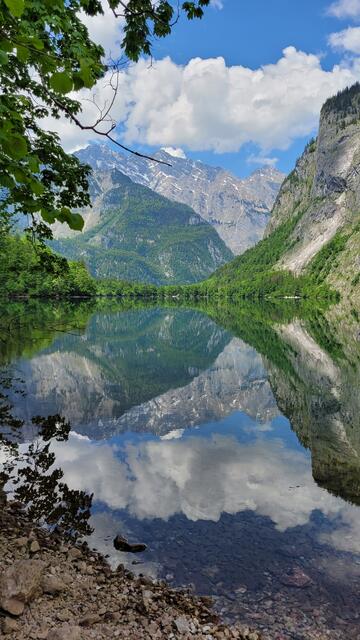 Sabine Schneider: "Spiegelung der Landschaft im Obersee des Königsees." | Foto: Sabine Schneider