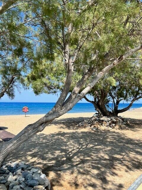 Eingereicht von Sabine Herrmann. | Foto: Sabine Herrmann