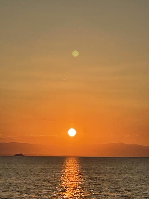 Mika Gläser: "Das Foto ist von einem Boot in Griechenland entstanden. Kurz davor sind Delphine neben dem Boot geschwommen." | Foto: Mika Gläser