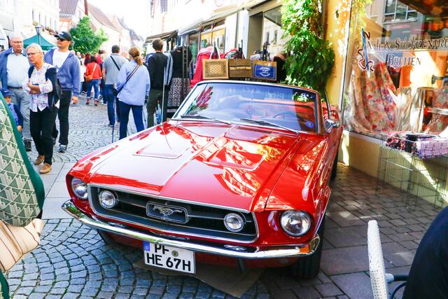 Foto: Waldemar Gress / EinsatzReport24