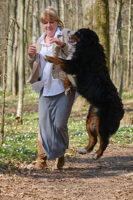 Wer von einem Hund angefallen und gebissen wird, kann in der Regel Schadenersatz fordern. | Foto: DJD/Roland-Rechtsschutzversicherung/tugolukof - stock.adobe.com