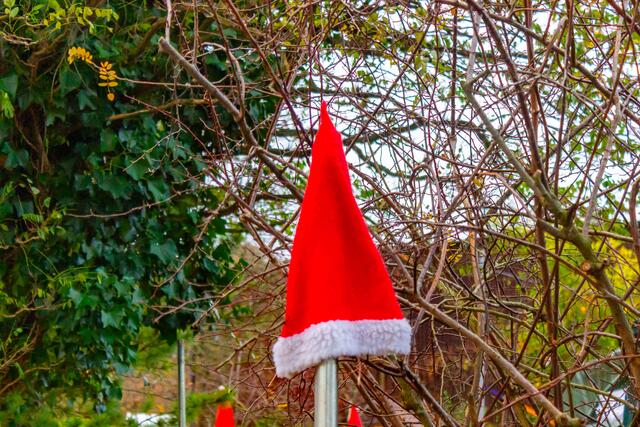 Foto: Markus Rott / ER24