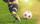 Der Kreisligist 1. FC Nußbaum hat endlich wieder einen neuen Trainer. | Foto: BillionPhotos.com - stock.adobe.com