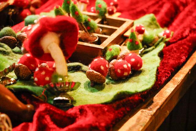 Foto: Waldemar Gress / ER24