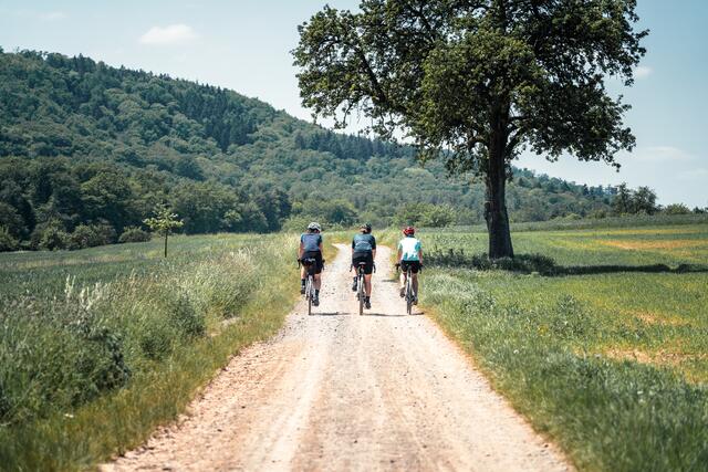 Die perfekte Landschaft für Gravelbiker – das Land der 1000 Hügel. | Foto: SaddleStories.at
